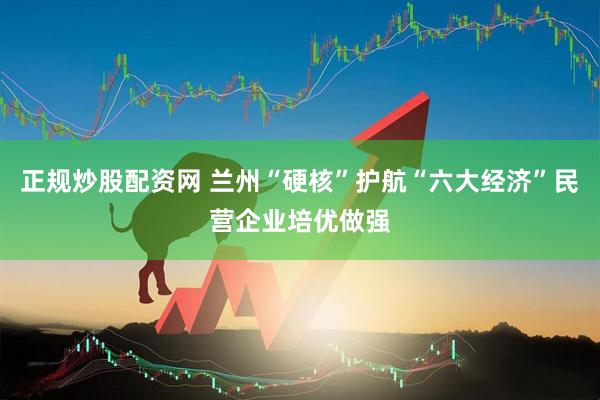 正规炒股配资网 兰州“硬核”护航“六大经济”民营企业培优做强